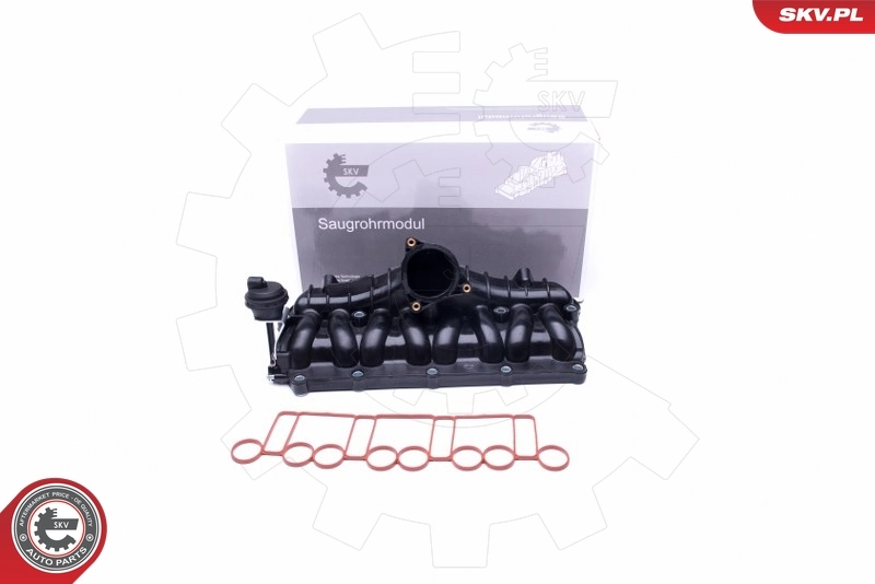 Intake Manifold Module